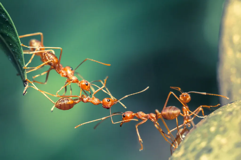 iStock-525968315_4c00196e-3f2b-432d-9f7a-0a39e5cf730f_1600x